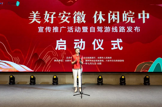 安徽省文化和旅游厅副厅长 王靖