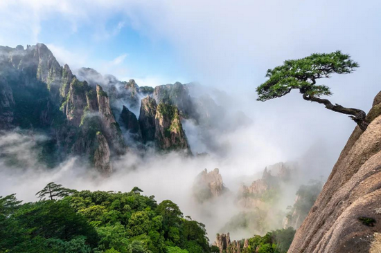 黄山风景区(图源:安徽文旅公众号)