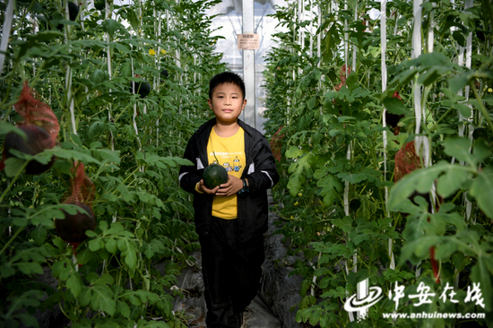 孩子们在享受采摘的乐趣