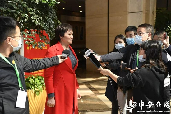 六安团代表、金寨县大湾村党总支书记何家枝在接受采访