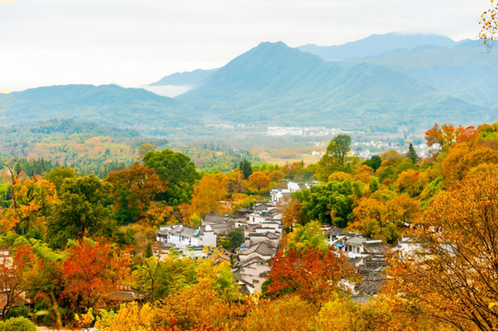 黟县塔川村 (图源:新浪安徽)
