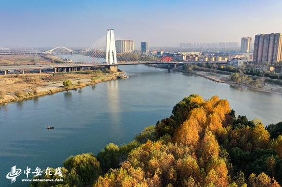 阜裕大桥成为颍河上空一道亮丽的风景线