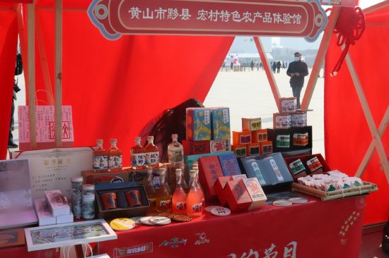 安徽省“游购乡村 好物迎春”年货市集 在骆岗公园启动