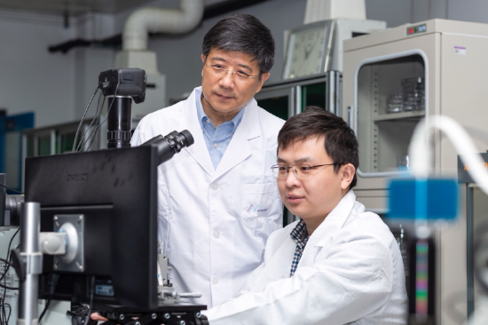 张跃钢教授与团队在高能电池科研实验中