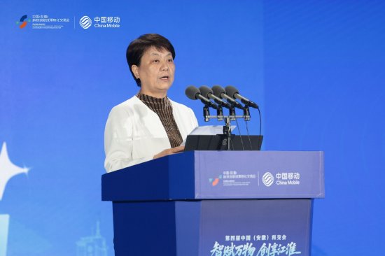 安徽省人大常委会副主任、省工商联主席、省总商会会长王翠凤女士上台致辞