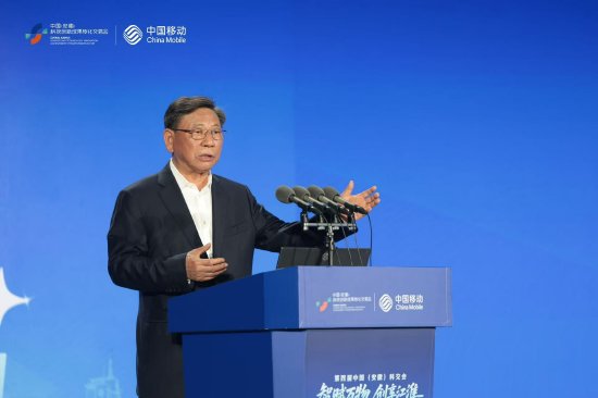 中国工程院院士杨善林作主题演讲