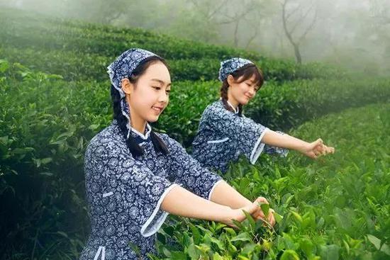 劳动的乐趣