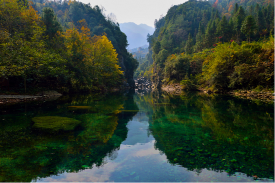 石台县牯牛降景区 龙门潭 (图源:安徽省文化和旅游厅)