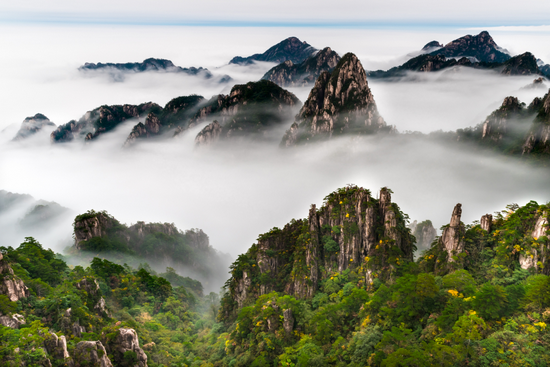 黄山风景区 云海(图源:摄影师汪根华)