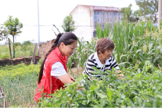 小郜陪我做农活唠家常