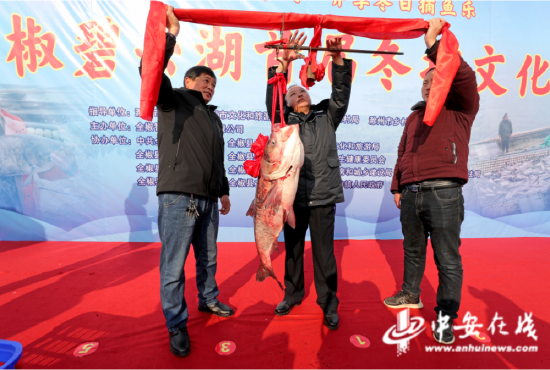 在全椒碧云湖首届冬捕文化节上工作人员在为“头鱼”称重