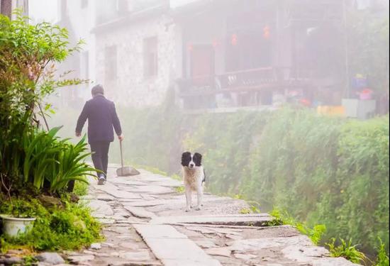 看查济小动物的江湖故事 方知日长似岁