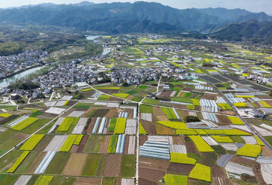 大黄山，“大”在哪？