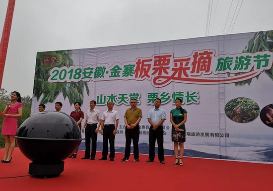 金寨第二届板栗采摘旅游节:栗果飘香 千人共享