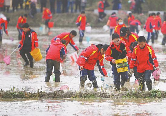 学生们在体验当地水耕文化。