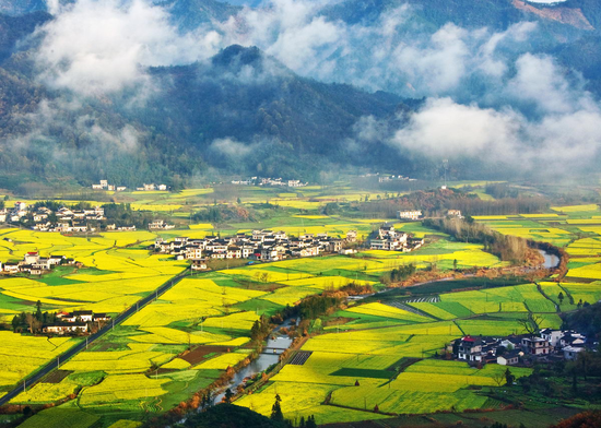 柯村