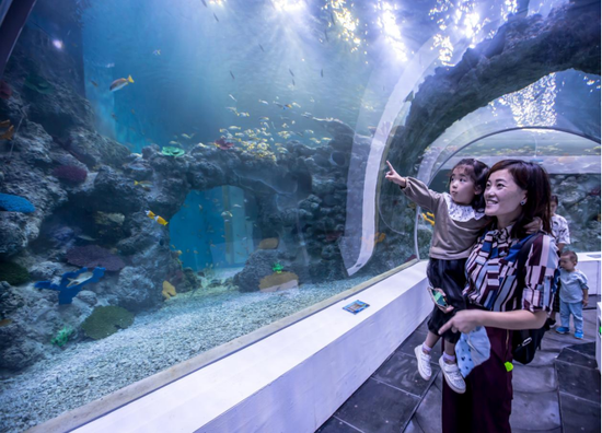 鸠江区芜湖大白鲸海洋公园海底隧道 (图源:芜湖市文化和旅游局)