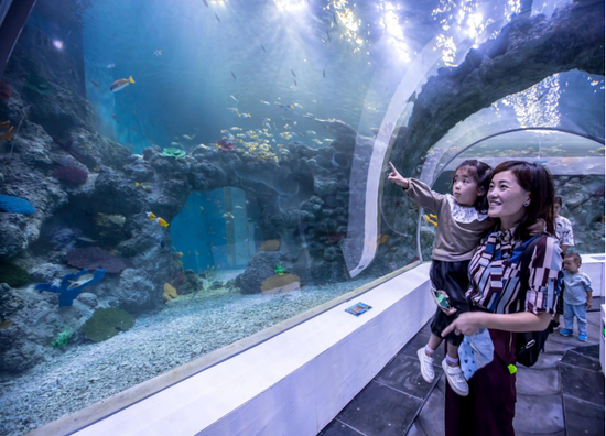 鸠江区芜湖大白鲸海洋公园海底隧道 （图源：芜湖市文化和旅游局）