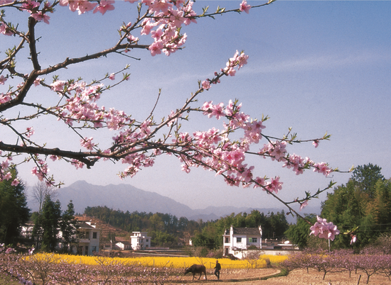 五里村