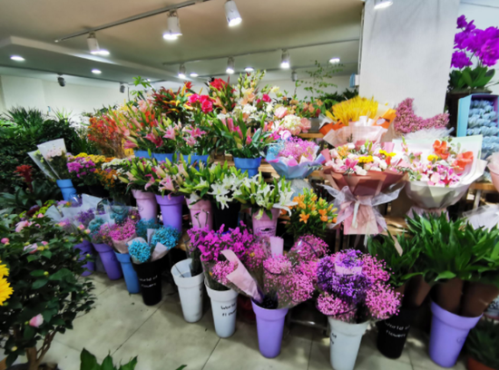 在老蚌埠人最熟悉的花鸟市场,花店都摆得满满当当。