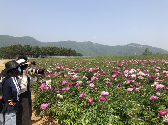 美景、美食、美拍 新浪安徽带队吃瓜