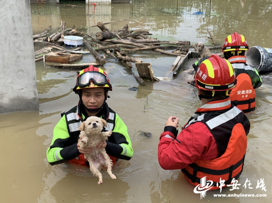 合肥消防力保群众财产安全