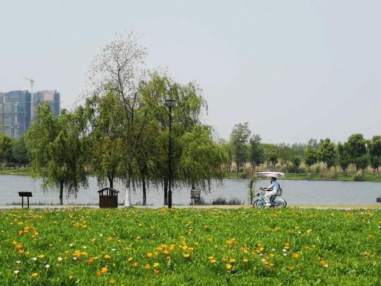 春游江淮请您来 想表白就带她来西湖湿地看这些花