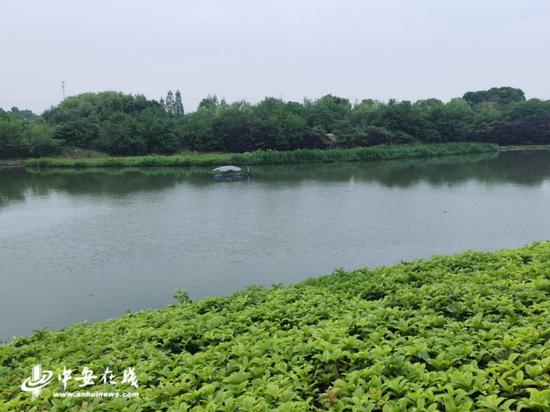 如今的肥西县“气质”和“颜值”同在