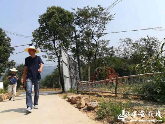 忙碌的杨世木