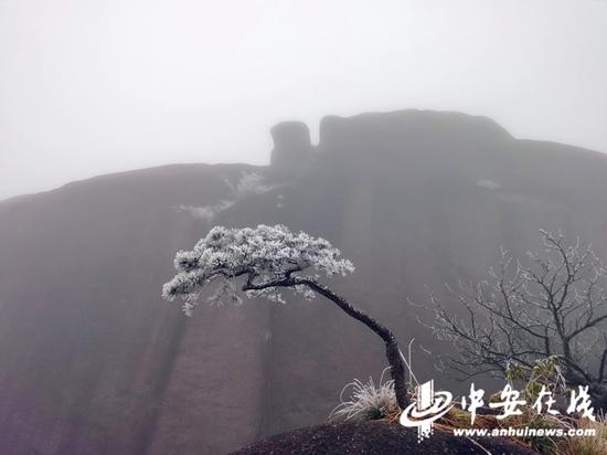 李金刚 摄