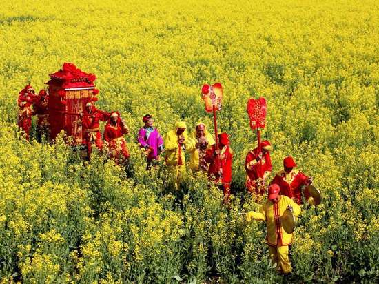 历年油菜花节民俗表演(图源网络)