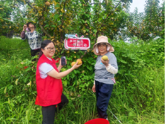志愿者帮助农民采摘果实