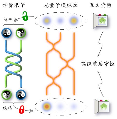 光量子模拟研究仲费米子编织和互文特性的概念图