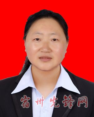 宿州发布干部任前公示 含4名女干部(图\/简历)