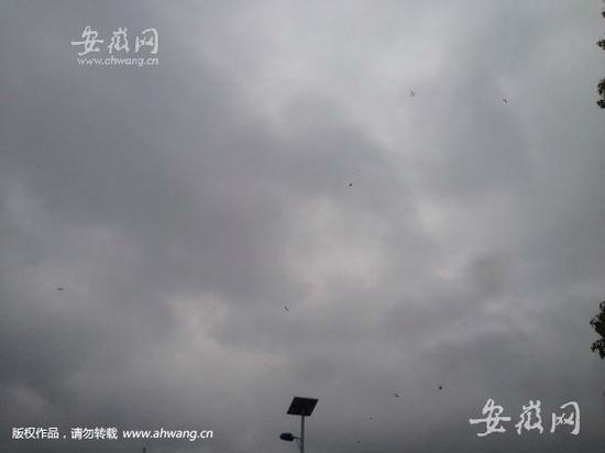 安徽省气象台发布暴雨蓝色预警信号