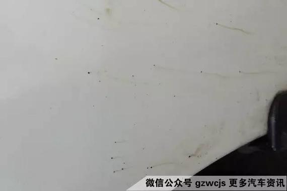 35xH-fxrtztr3596738.jpg