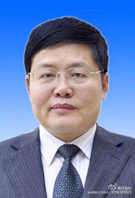 天长市委书记金维加