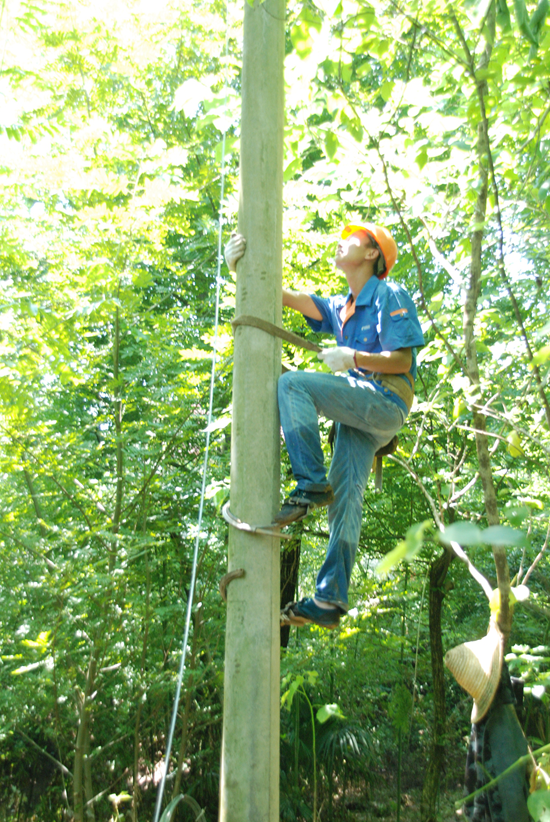灾后重建,中国电信宣城分公司在行动_新浪安徽
