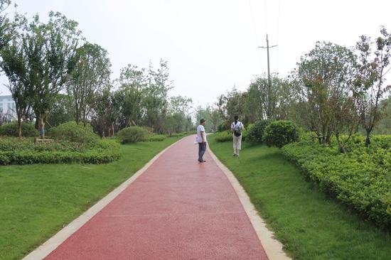 网络达人看大美阜阳新变化_阜阳频道