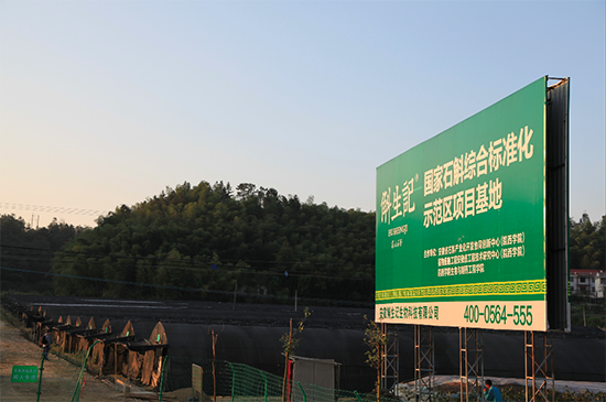 我省四家石斛企业获得地理标志保护产品霍山石