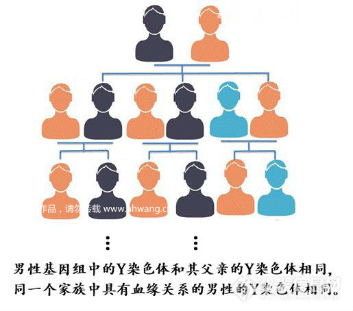 皖企科技助力白银连环杀人案告破 Y-STR检测