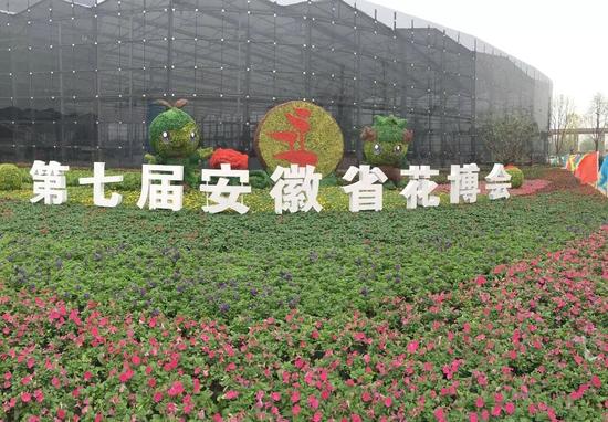 第七届省花博会28日阜阳开幕 该市花卉产业年