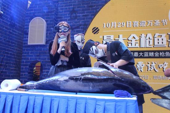 伊幸料理合肥最大金枪鱼开鱼秀万人免费试吃