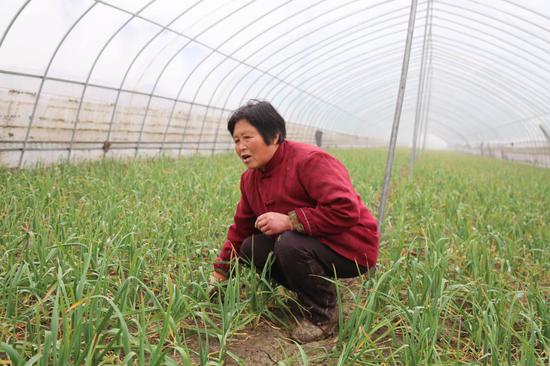 身残志坚脱贫致富 走近泗城镇胡陈村脱贫典型