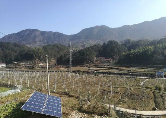 幸福梓树三个全覆盖 贫困户增收变股民