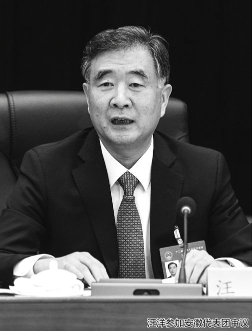 汪洋参加安徽代表团审议