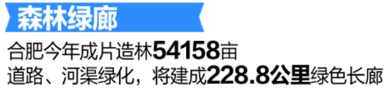 森林绿廊