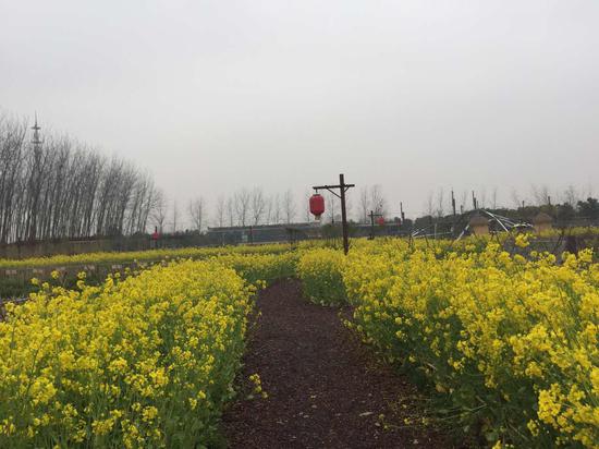包河区特色庄园