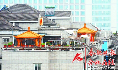 小区楼顶惊现古式凉亭
