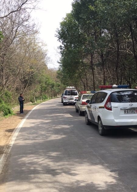 合肥大蜀山发现一具高度腐败尸体 刑侦在场勘